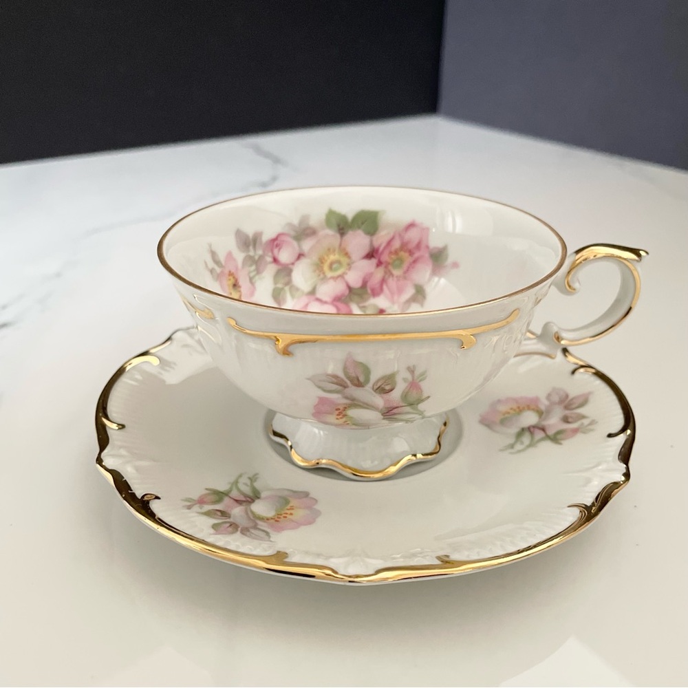 Wild Rose Cup & Saucer - Schuman Germany E&R Golden Crown